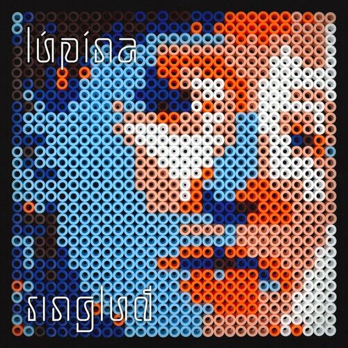 Lúpína // ringluð
