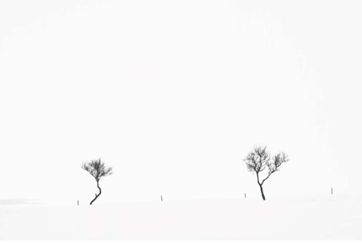 Sagas by Olivier Joly