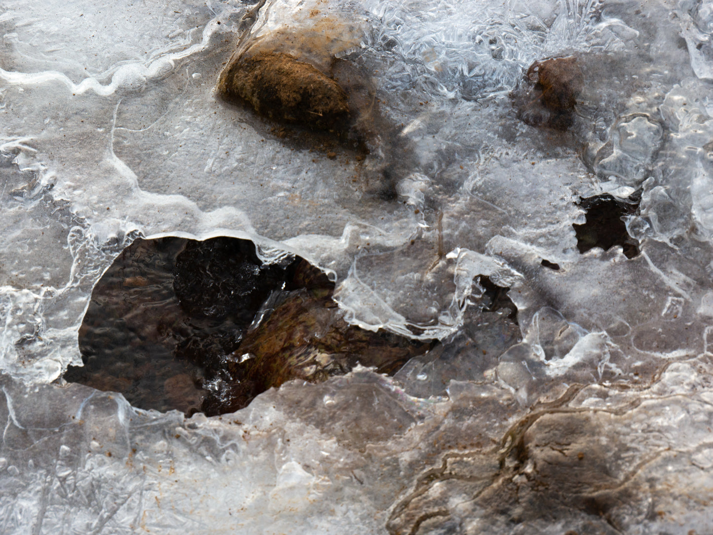Hélène Tourbine // Down by the Water - photos sous verre acrylique 25 mm