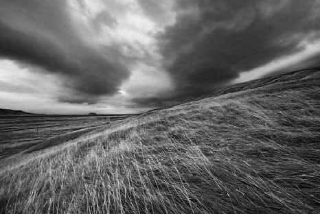 Olivier Joly // Quand le vent redessine le monde