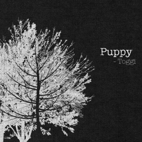 Toggi // Puppy