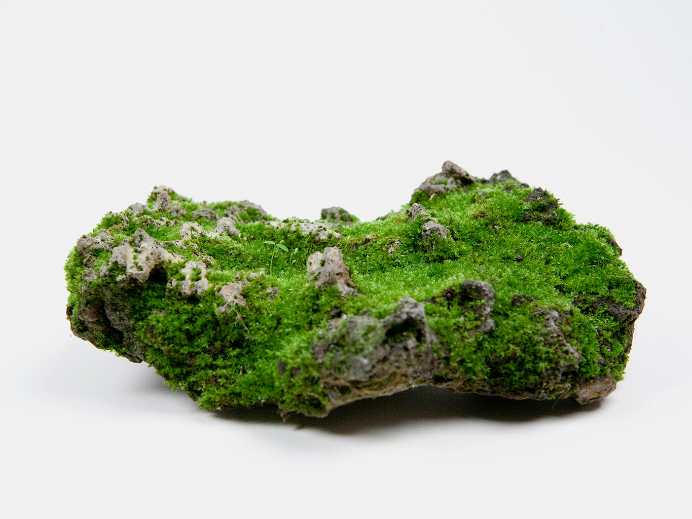 Surtsey The Shape of an Island // Vanessa Doutreleau and Hervé Jezequel