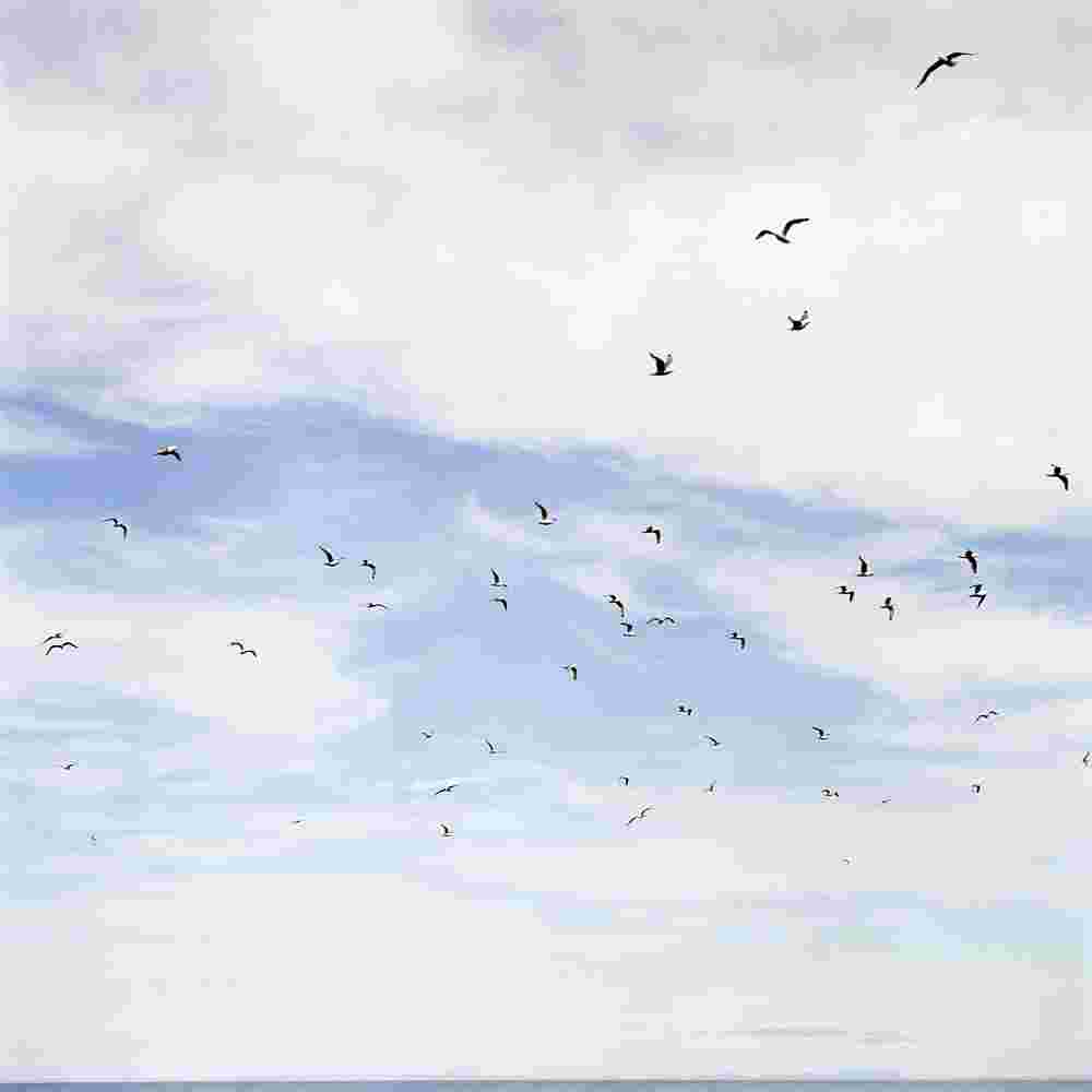 Hervé Jézéquel // Surtsey / formats 40 x 40 cm