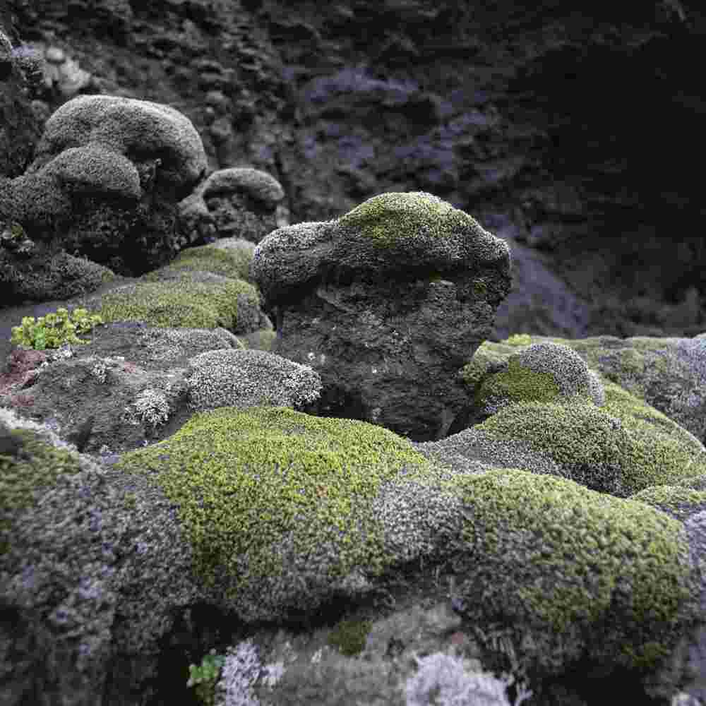 Hervé Jézéquel // Surtsey / formats 40 x 40 cm