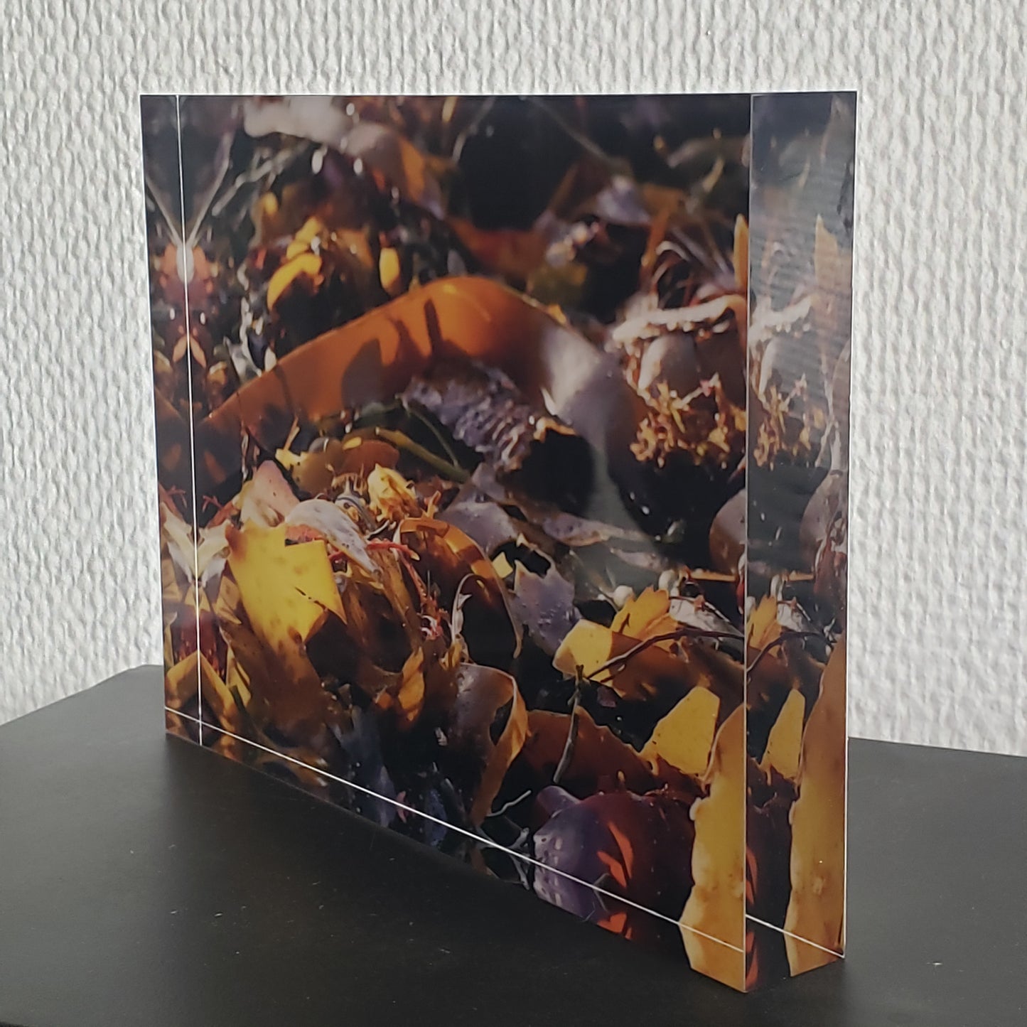 Orange Blossom - photos sous verre acrylique 25 mm