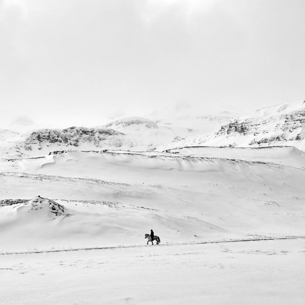 Olivier Joly // Le Cavalier blanc