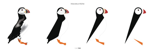Macareux moines
